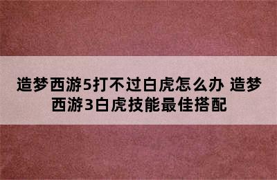 造梦西游5打不过白虎怎么办 造梦西游3白虎技能最佳搭配